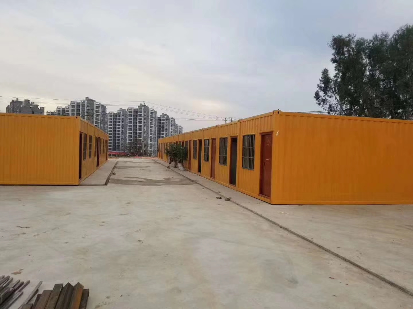 正能量网站免费观看